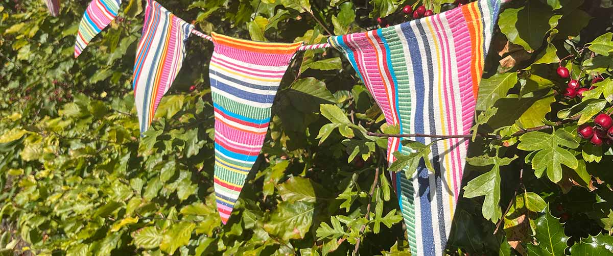 Cotton Bunting - Striped Bunting