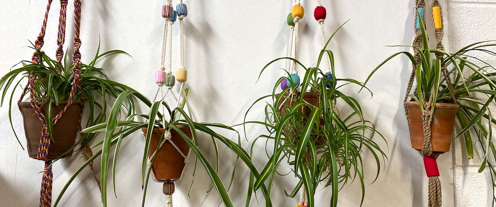 Macrame Plant Pot Hangers with Multi Colour Bobbles