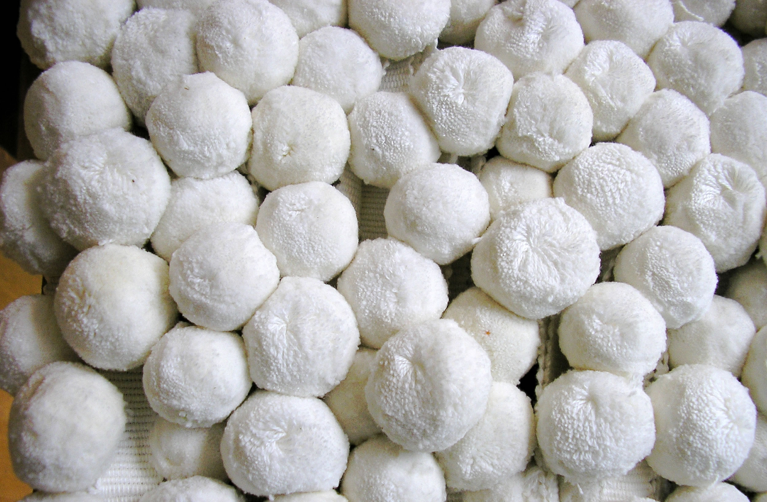 White  Bobble Fringes | White Pom Pom Bobble Trim | Large Bobbles 2.5cm diameter White