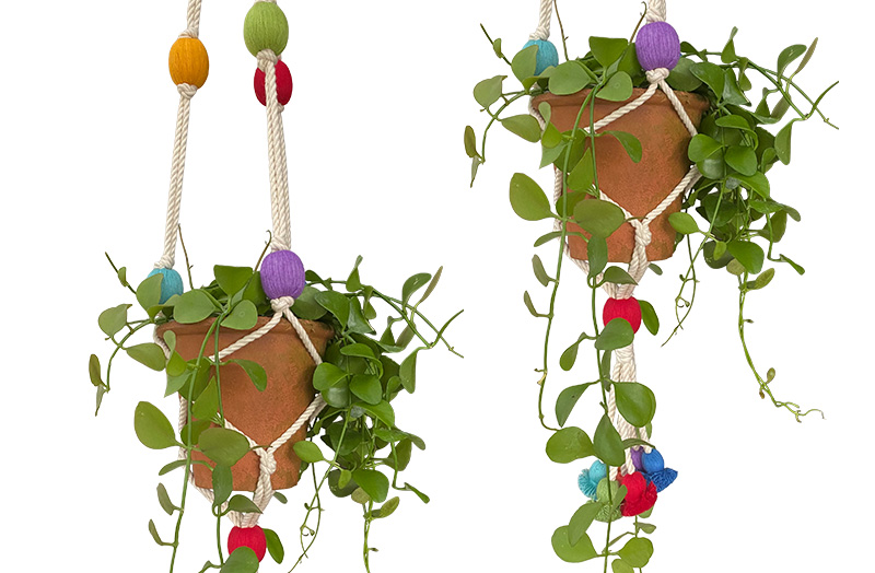 Macrame Plant Pot Hanger with Primary Multi Colour Bobbles